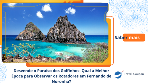 Desvende o Paraíso dos Golfinhos: Qual a Melhor Época para Observar os Rotadores em Fernando de Noronha?