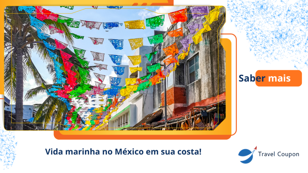 Vida marinha no México em sua costa!